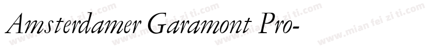 Amsterdamer Garamont Pro字体转换